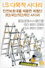 LS사다리